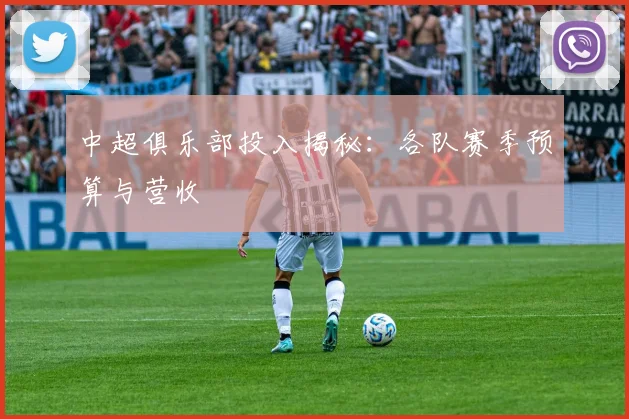 中超俱乐部投入揭秘:各队赛季预算与营收