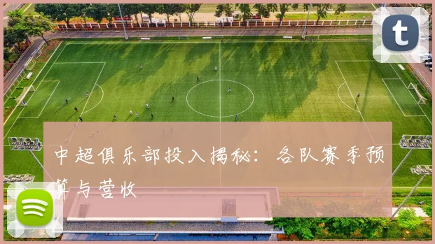 中超俱乐部投入揭秘:各队赛季预算与营收